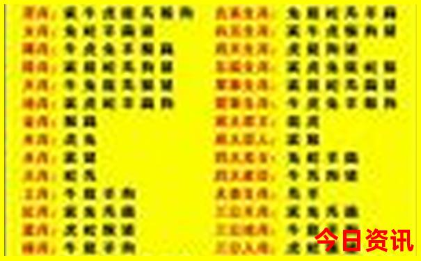 广州周末带娃去哪里好玩