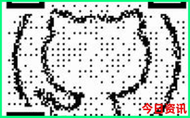 这个暑假去哪里玩
